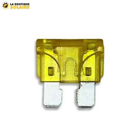 1100000013068_1 1100000013068_1